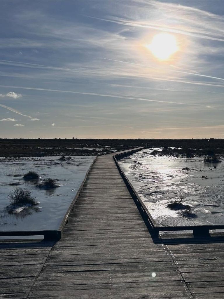 Möckelmossen Bild på spången i Möceklmossen