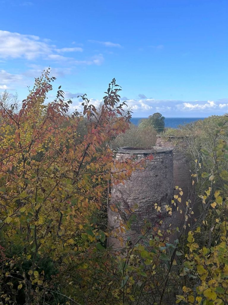 Fågelsjöns kalkugnar Bild på kalkugnar vid Fågelsjön i Degerhamn