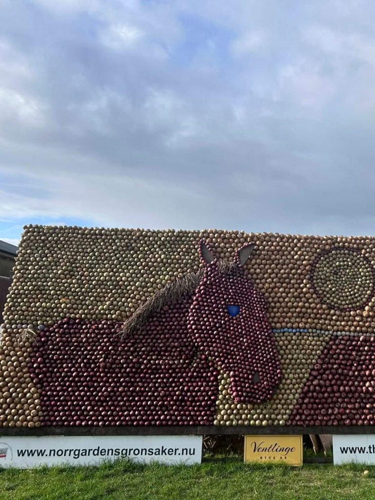 Löktavla Bild på löktavlan i Norrgården hösten 2025