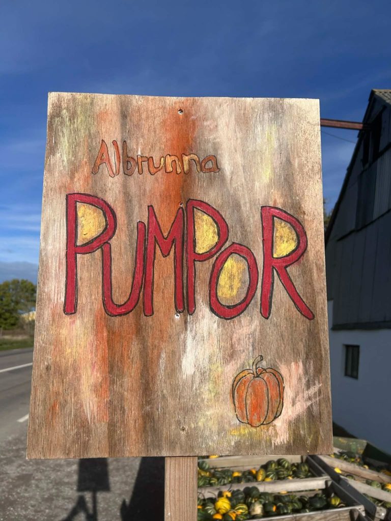 Pumpor Bild på skylt om försäljning av pumpor i Albrunna
