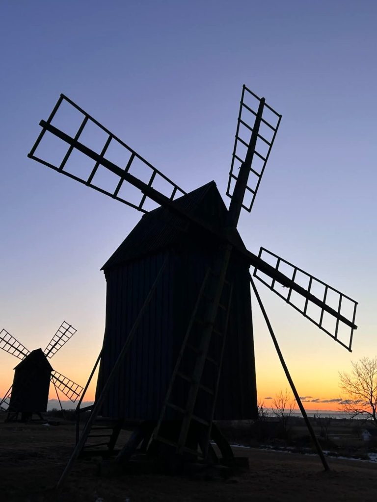 Sten vid strandkant Bild på sten vid strandkant i Färjestad dämme